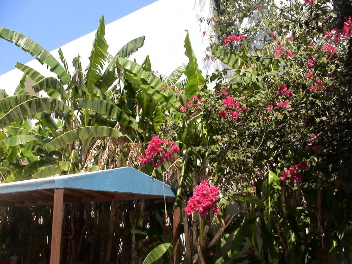 Sea Breeze 2 Apartments Mastichari  Exterior foto