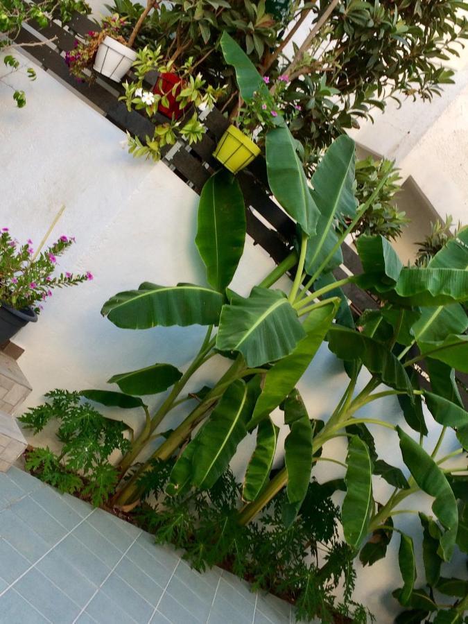 Sea Breeze 2 Apartments Mastichari  Exterior foto